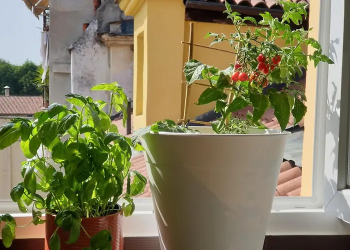 Romantica Mansarda Nel Cuore Di Apartman Torino